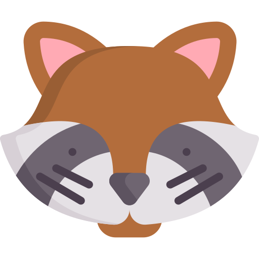 Raccoon Special Flat icon