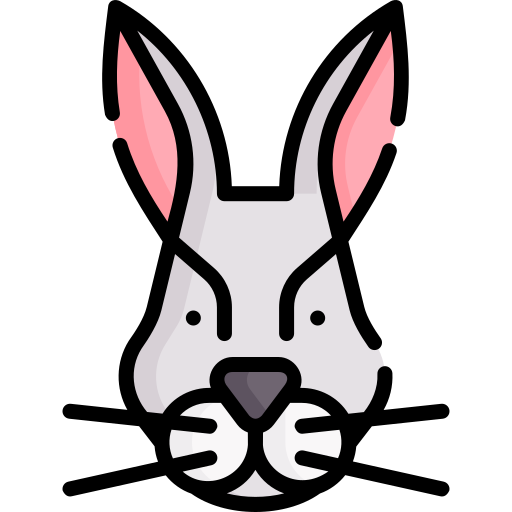 Rabbit Special Lineal color icon