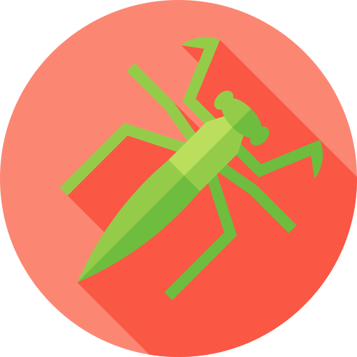 Praying mantis - Free animals icons