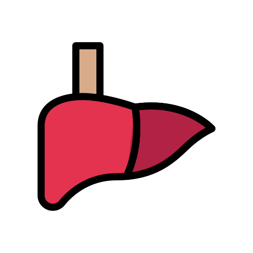 Liver - Free medical icons