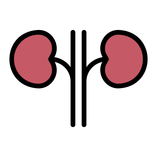 Kidney Generic Outline Color Icon