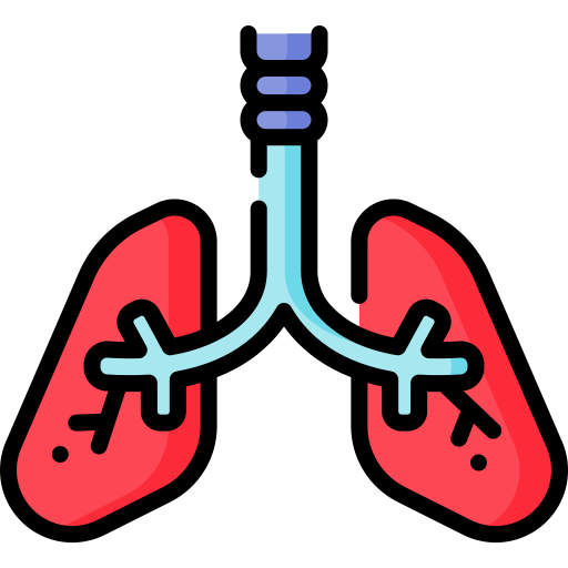 pulmones icono gratis