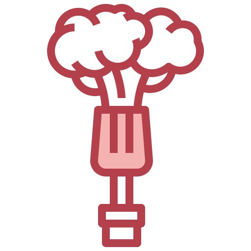 Брокколи бесплатно иконка