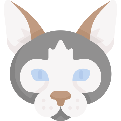 Кот бесплатно иконка