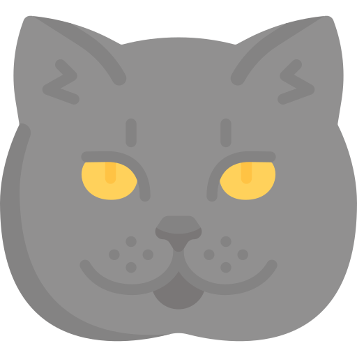 Cat Special Flat icon