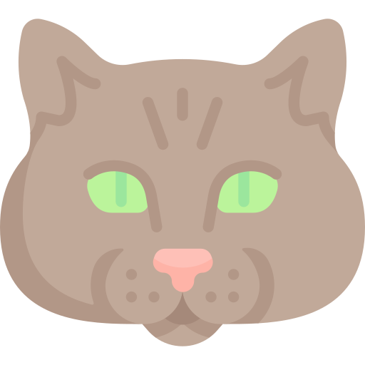 Cat Special Flat icon