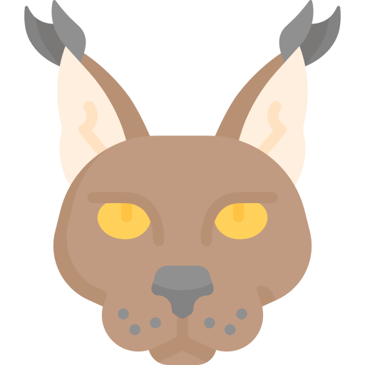 Кот бесплатно иконка