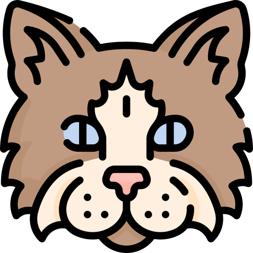 Кот бесплатно иконка