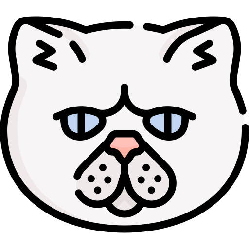 Кот бесплатно иконка