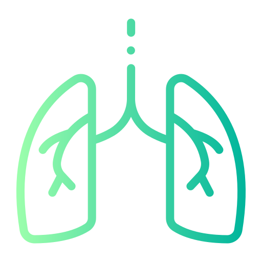 Lungs Generic Gradient icon