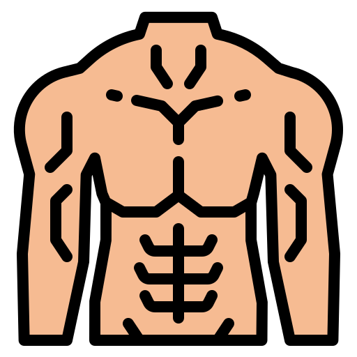 roblox muscle t shirt template png clip transparent roblox muscle template  PNG image with transparent background PxPNG Im…