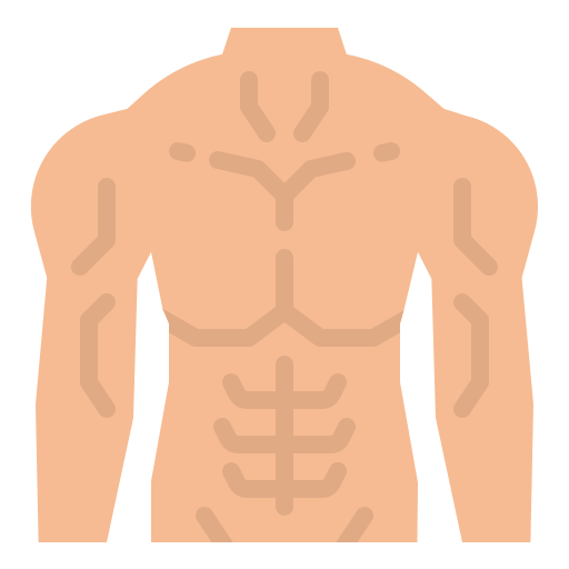 muscular torso Icon - Download for free – Iconduck