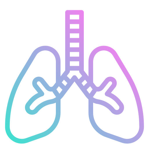 Lungs photo3idea_studio Gradient icon