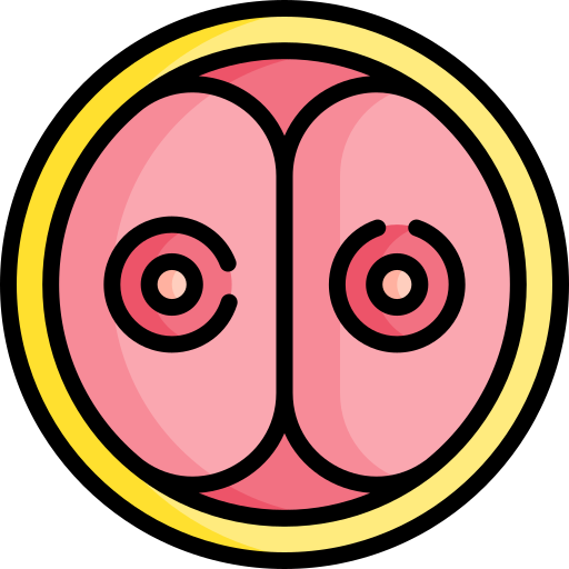 ovum kostenlos Icon ovum kostenlos Icon