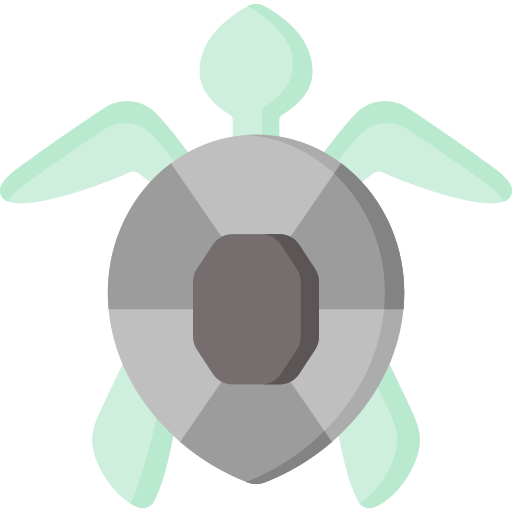 Turtle Special Flat icon