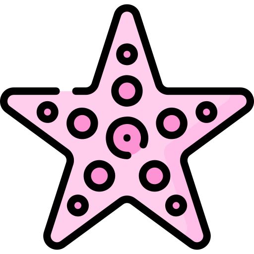 Star Special Lineal color icon