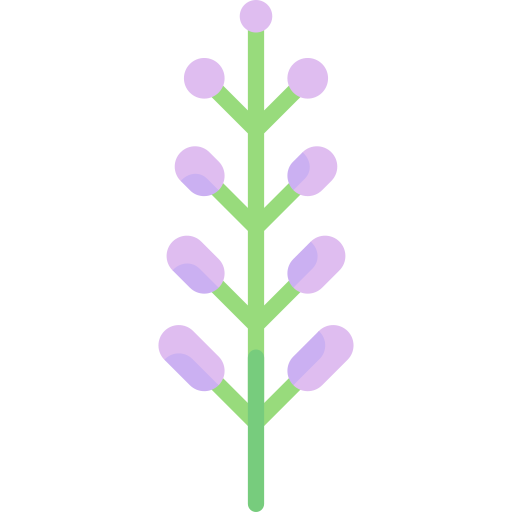 lavanda icono gratis