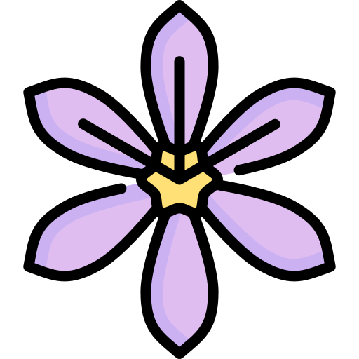 Saffron Special Lineal color icon