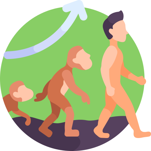 Evolution Detailed Flat Circular Flat icon