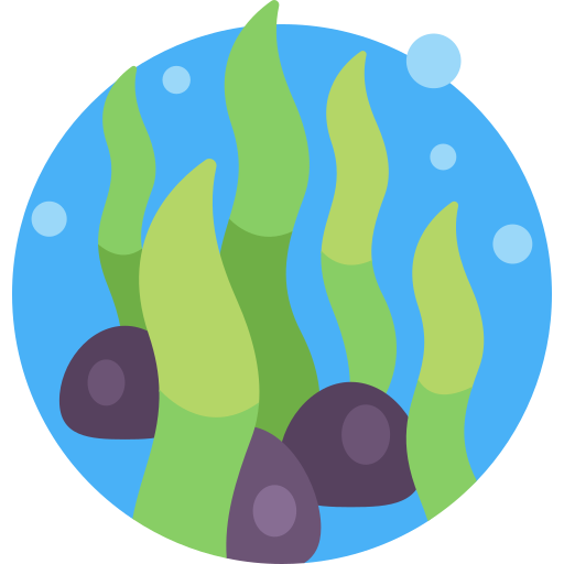 Algae - Free nature icons