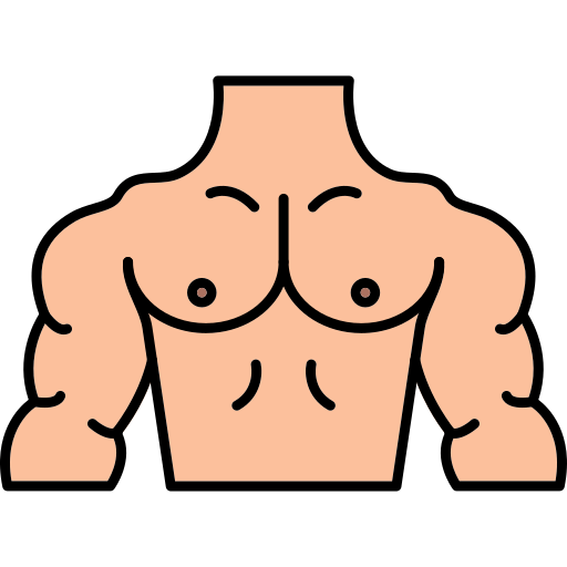 Abs, bady, body, chest, fitness, muscles, part icon - Download on Iconfinder