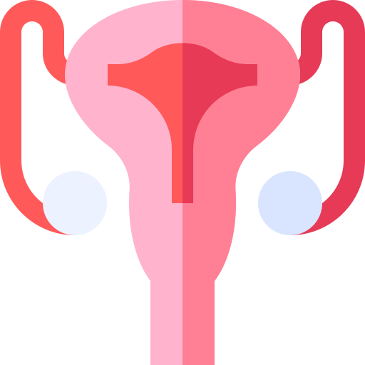 Female Reproductive Systems icon PNG and SVG Vector Free Download