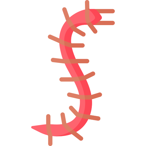 centopéia grátis ícone centopéia grátis ícone