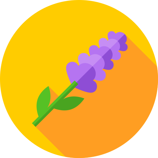 lavanda icono gratis