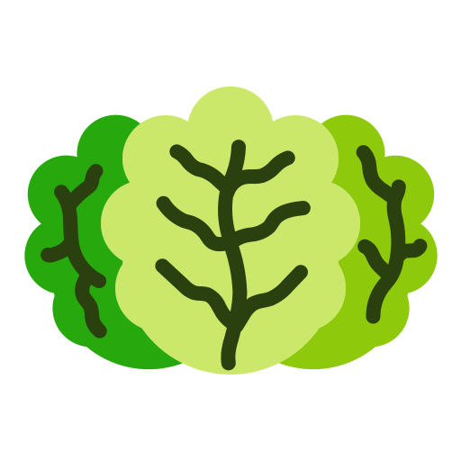 kopfsalat kostenlos Icon