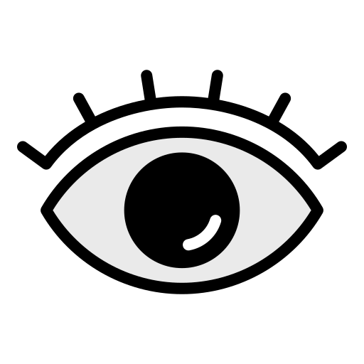 Eye Generic Outline Color icon