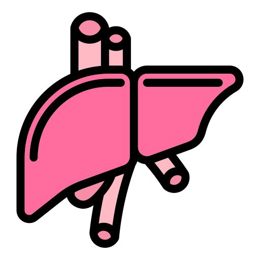 Liver Generic Outline Color icon