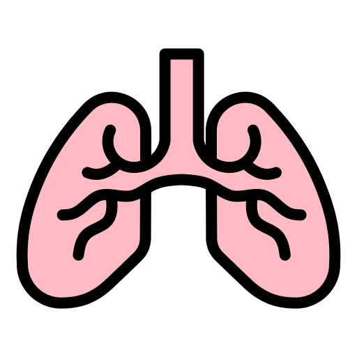 Lungs Generic Outline Color icon