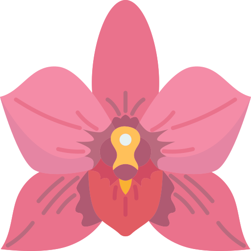 orquídea icono gratis