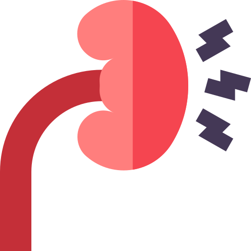 Почка бесплатно иконка