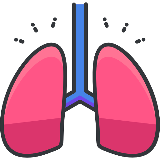 Lungs Roundicons Premium Lineal Color Icon