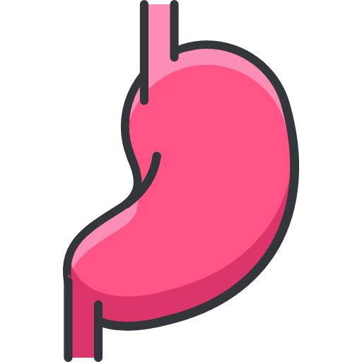 bauch kostenlos Icon bauch kostenlos Icon