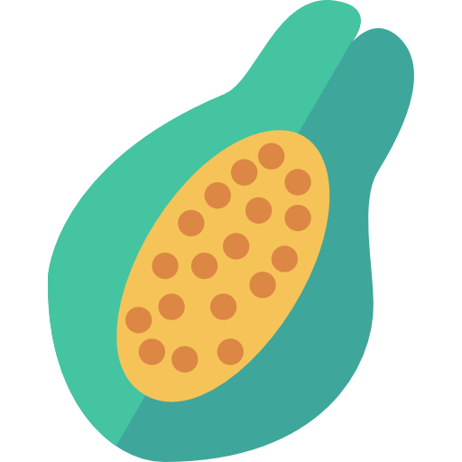 Papaya Dinosoft Flat icon