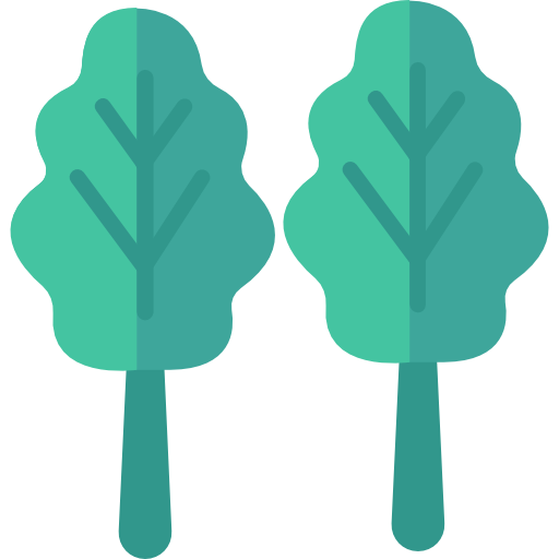 salat kostenlos Icon