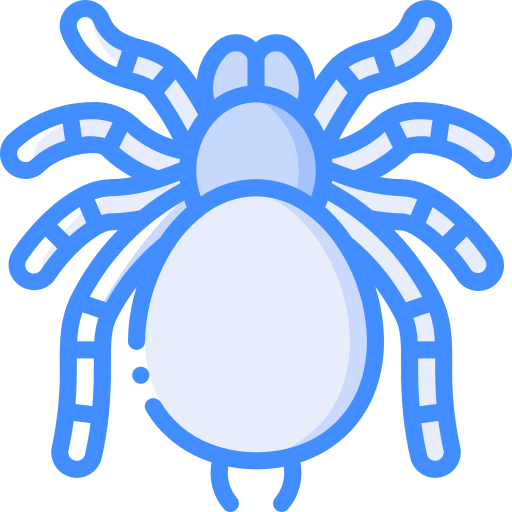 tarántula icono gratis