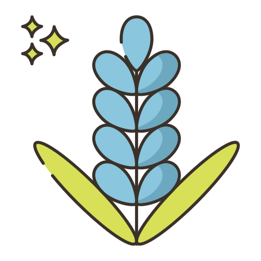 lavanda icono gratis