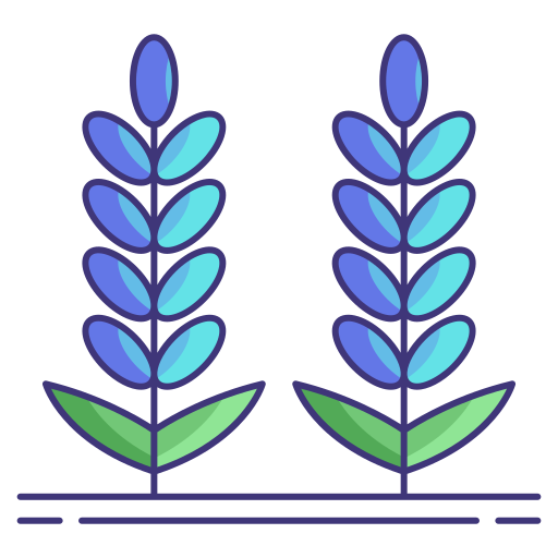 lavanda icono gratis