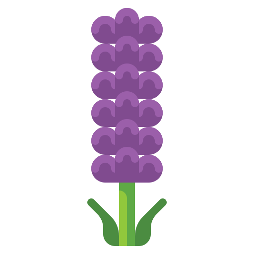 lavanda icono gratis