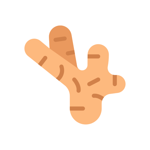 Ginger free icon