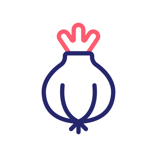 Onion free icon Onion free icon