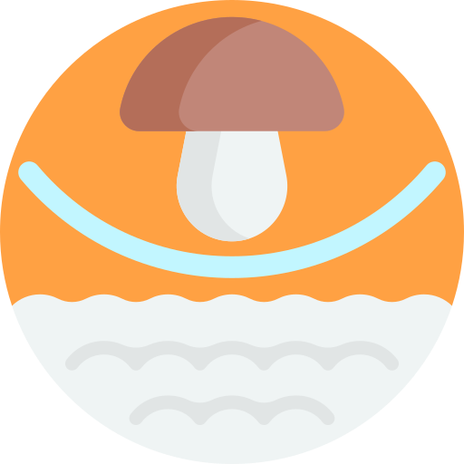 champignons Icône gratuit