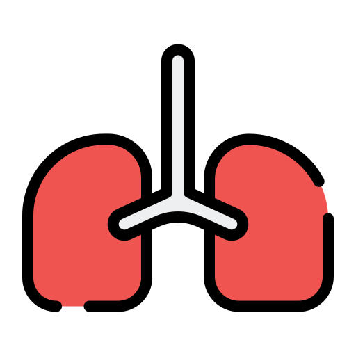 Lungs Generic Outline Color icon