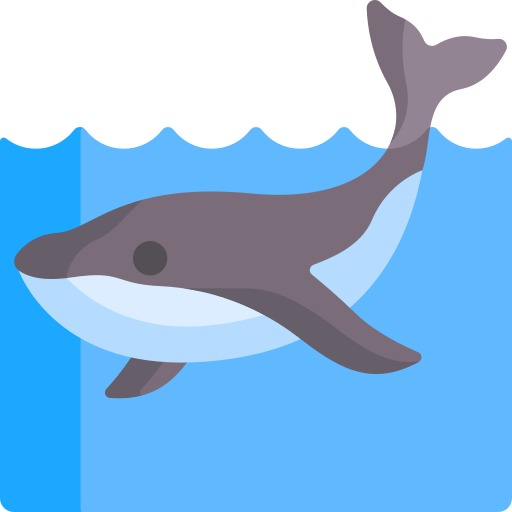 Whale free icon