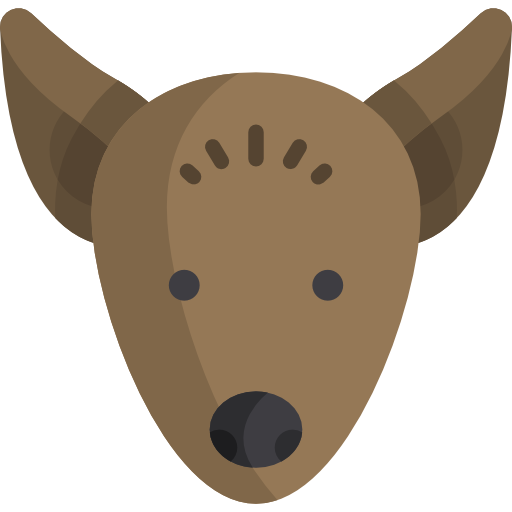 xoloitzcuintle icono gratis