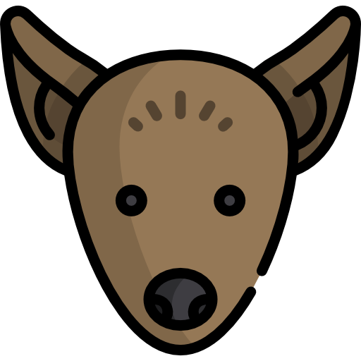 xoloitzcuintle icono gratis