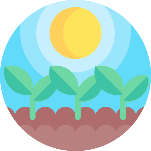 Sun free icon